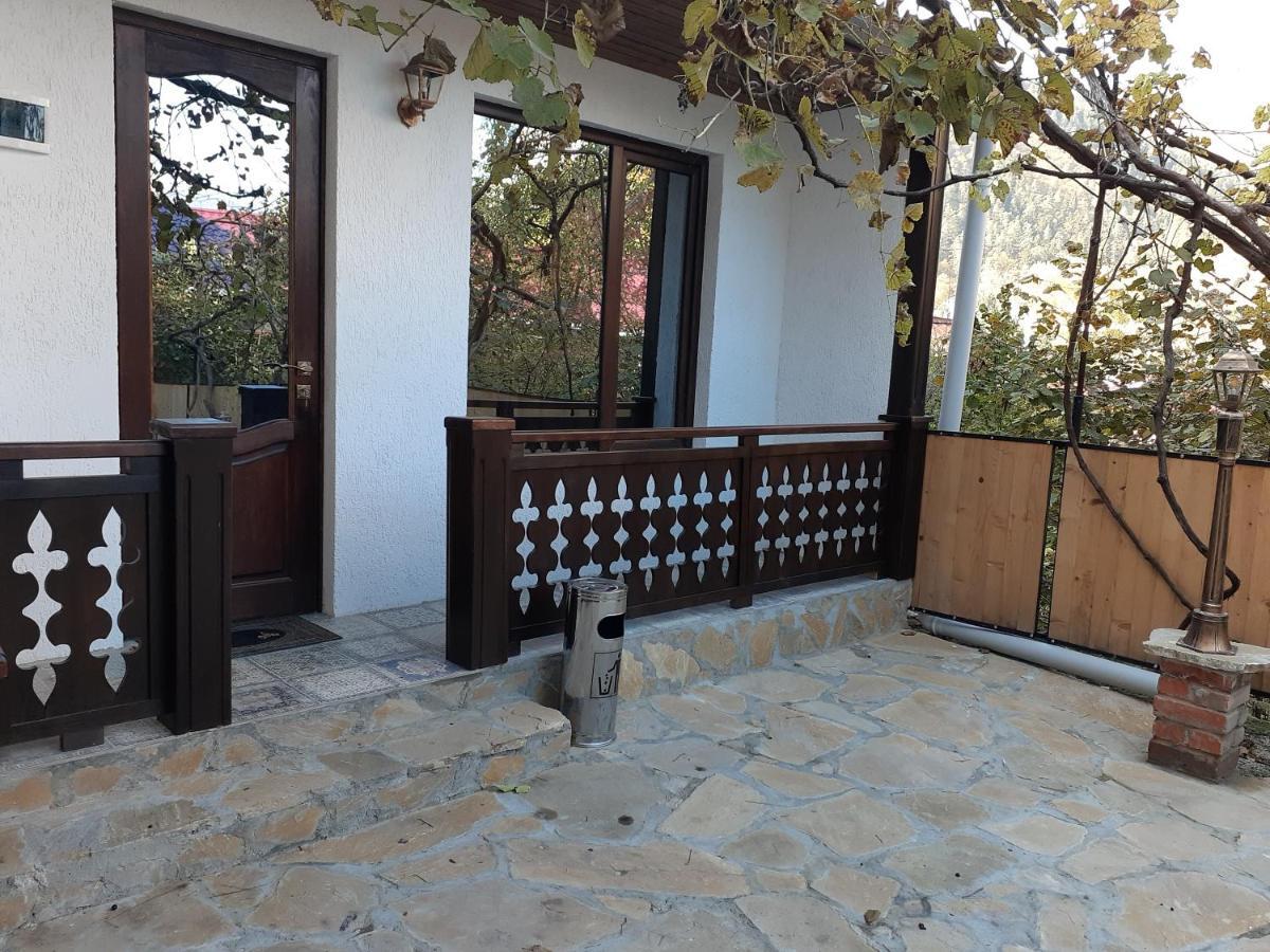Apartment Borjomi, Erekle Street, 21A Exteriér fotografie